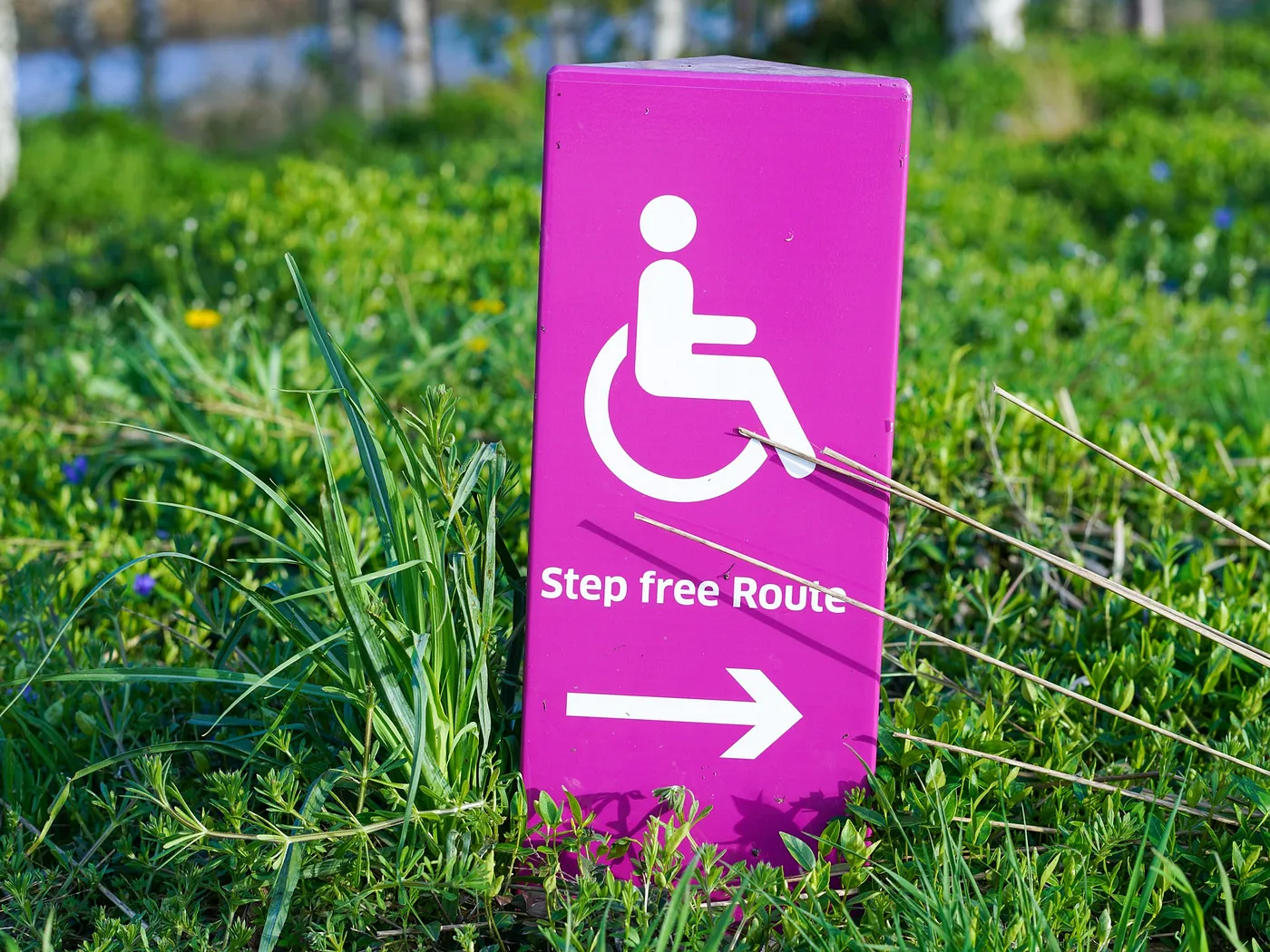 圖片：路邊”step free route”的標示