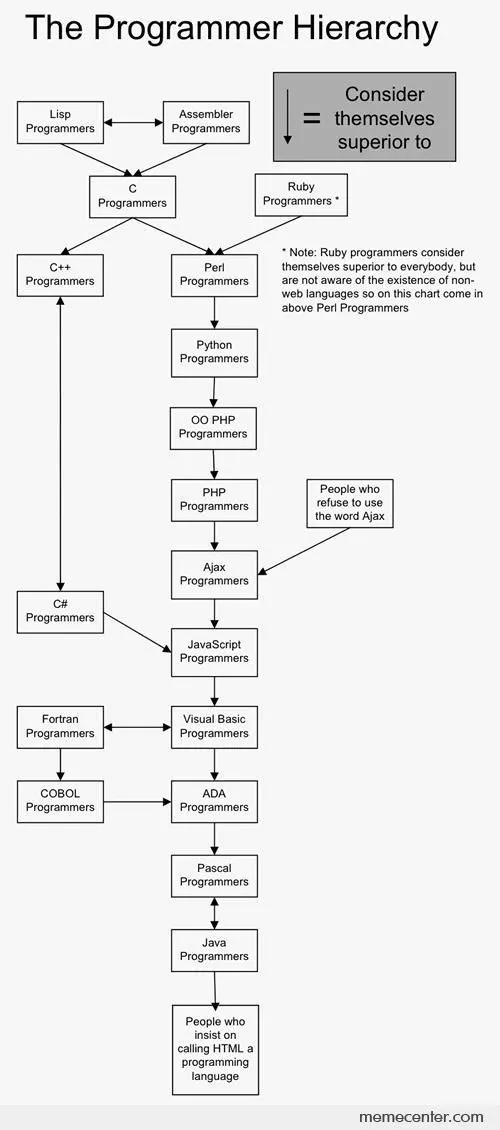 名為 ”The Programmer Hierarchy” 的圖表．後端開發人員，例如C++, Java, python，通常位在比較高的階級，而前端開發人員，例如HTML 或CSS，則處在階級較低的位置。